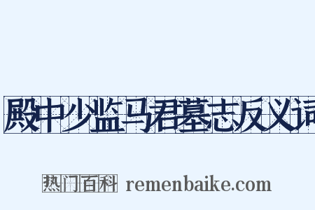 殿中少监马君墓志反义词是什么意思的图片